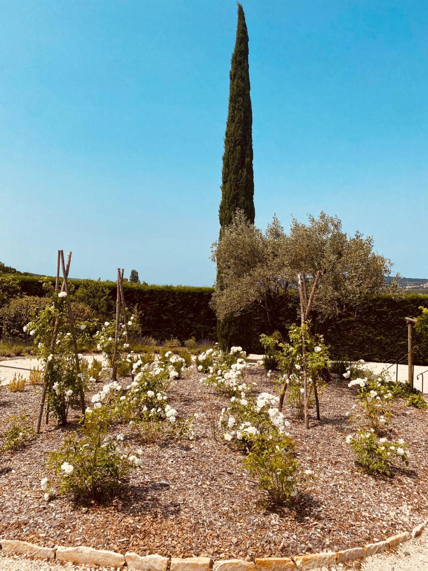 La Bastide Des Oliviers Provence - Mirabel Aux Baronnies Villa Exterior foto